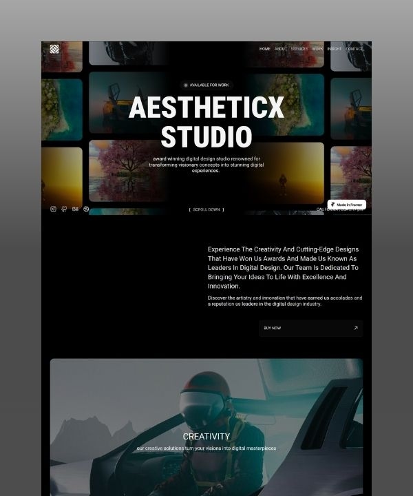 AestheticX Framer template preview 1