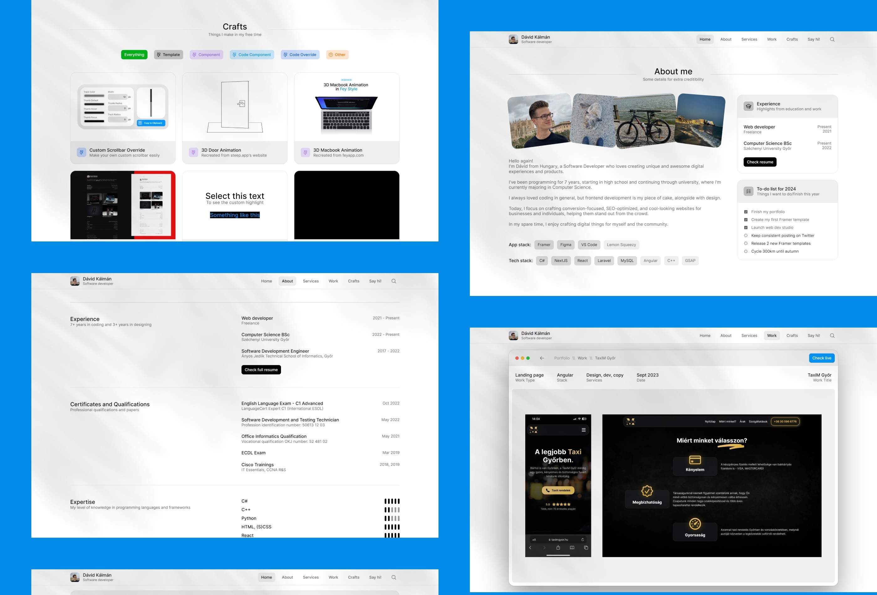 MacVision Framer template preview 2