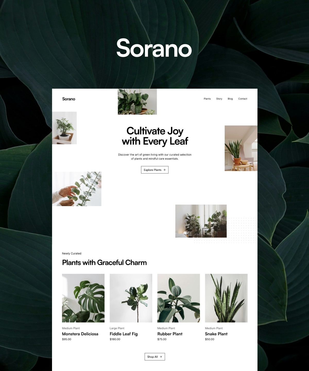 Sorano Framer template preview 1