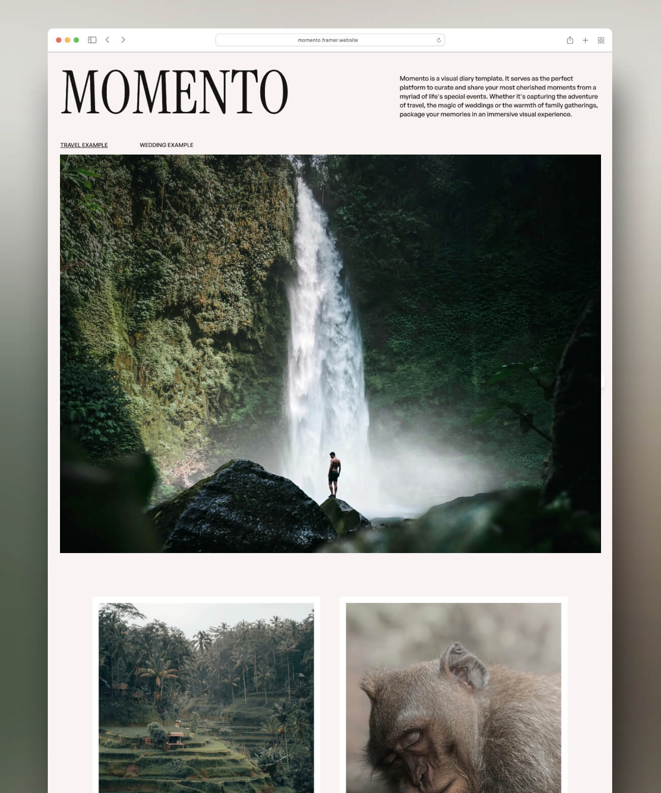 Momento Framer template preview 1