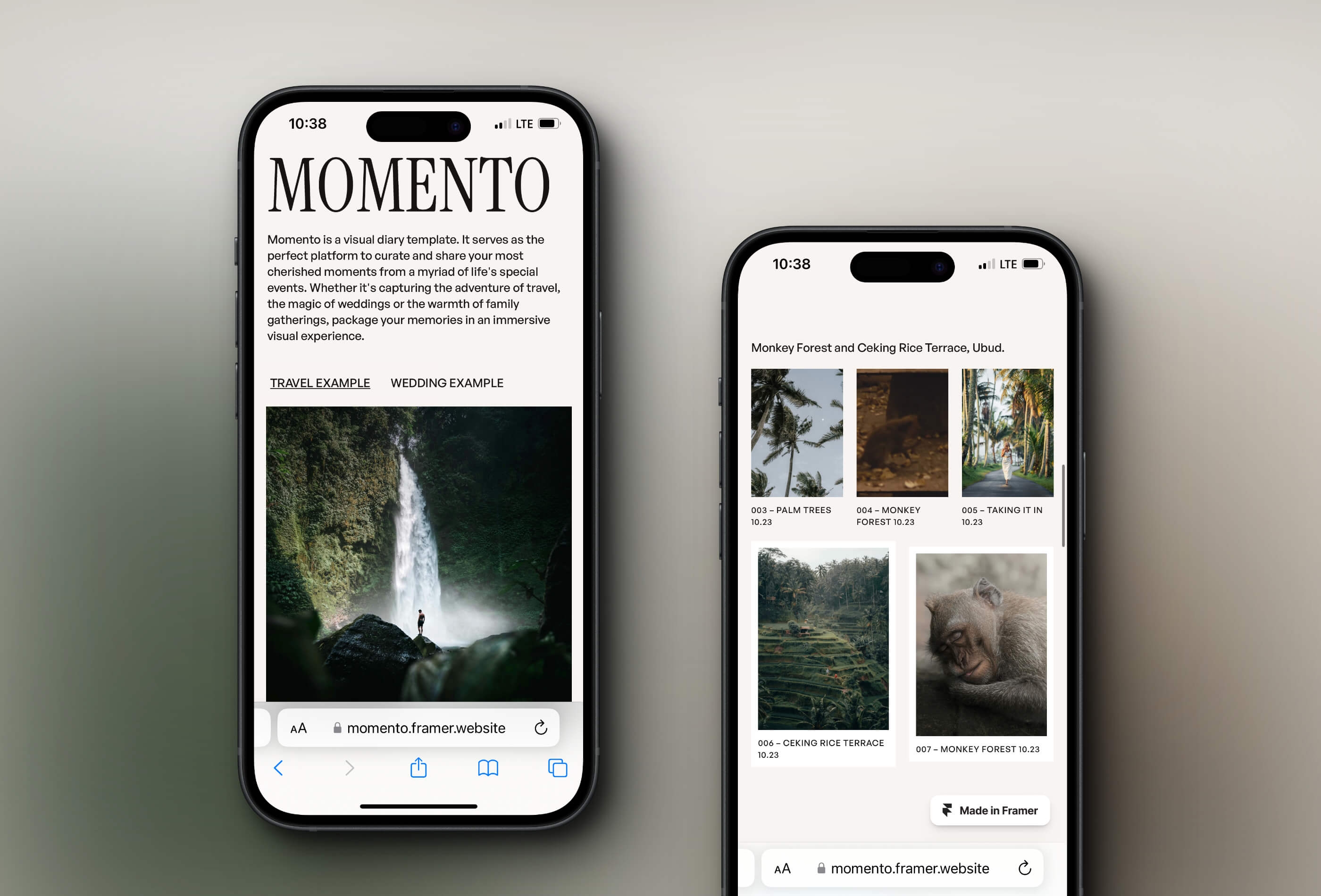 Momento Framer template preview 3