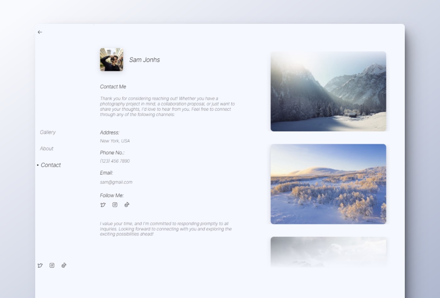 Snow Framer template preview 4